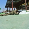 Combat Diver Course May 2015_084
